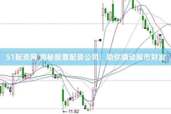 51配资网 揭秘股票配资公司：助你撬动股市财富