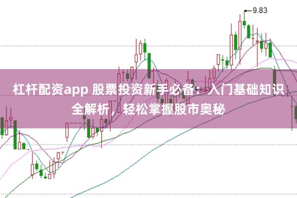杠杆配资app 股票投资新手必备：入门基础知识全解析，轻松掌握股市奥秘