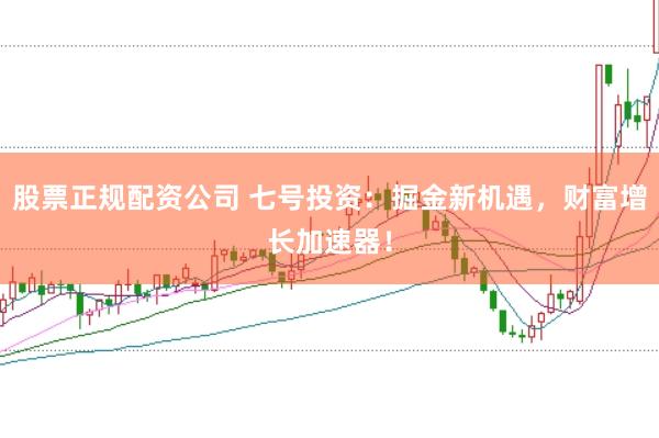 股票正规配资公司 七号投资：掘金新机遇，财富增长加速器！