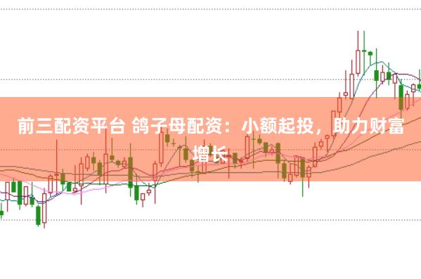 前三配资平台 鸽子母配资：小额起投，助力财富增长