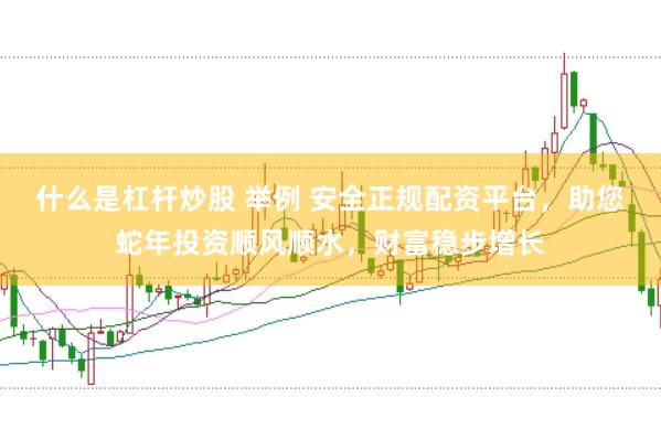 什么是杠杆炒股 举例 安全正规配资平台，助您蛇年投资顺风顺水，财富稳步增长