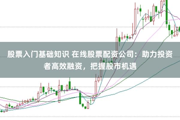 股票入门基础知识 在线股票配资公司：助力投资者高效融资，把握股市机遇