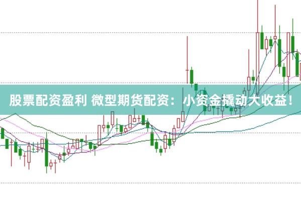 股票配资盈利 微型期货配资：小资金撬动大收益！