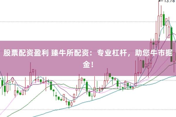 股票配资盈利 臻牛所配资：专业杠杆，助您牛市掘金！