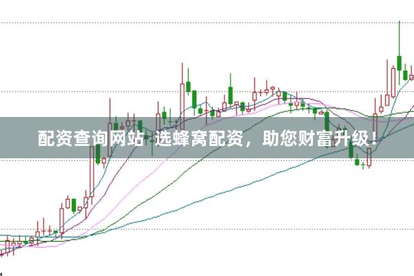 配资查询网站  选蜂窝配资，助您财富升级！