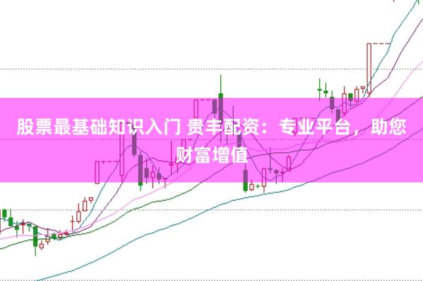 股票最基础知识入门 贵丰配资：专业平台，助您财富增值