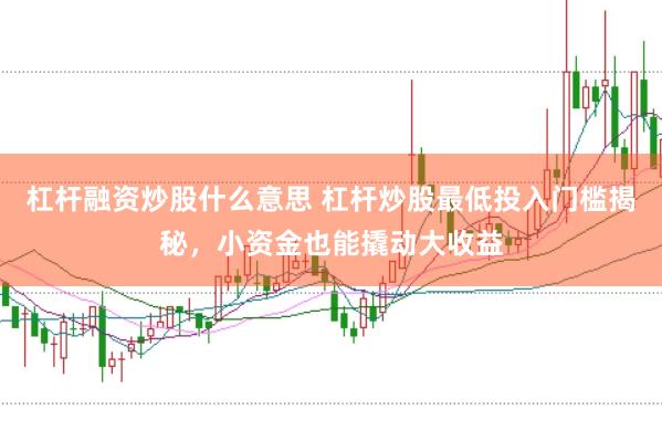 杠杆融资炒股什么意思 杠杆炒股最低投入门槛揭秘，小资金也能撬动大收益
