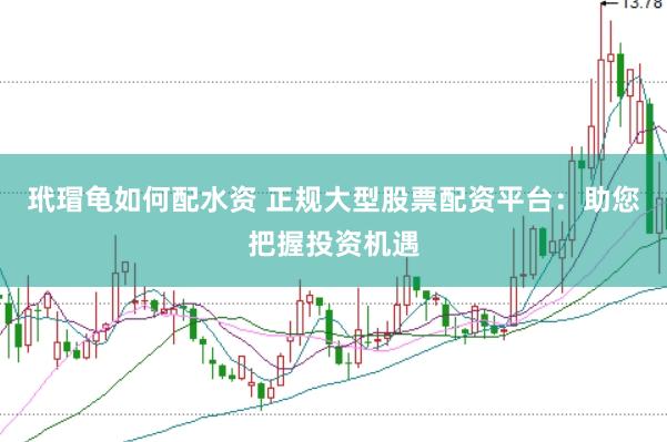 玳瑁龟如何配水资 正规大型股票配资平台：助您把握投资机遇