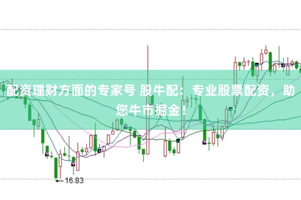 配资理财方面的专家号 股牛配：专业股票配资，助您牛市掘金！