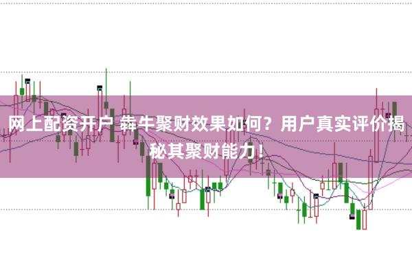 网上配资开户 犇牛聚财效果如何？用户真实评价揭秘其聚财能力！