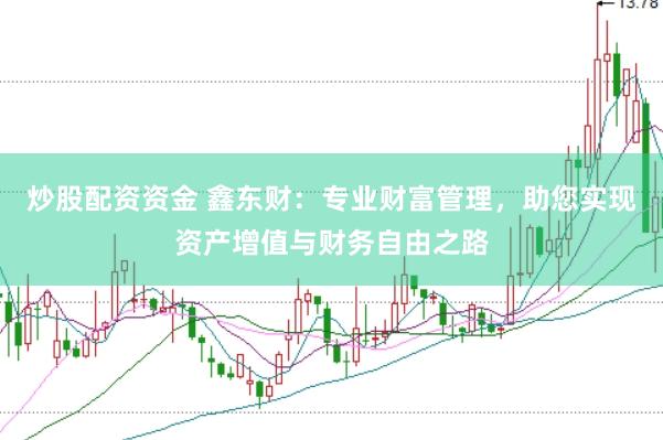 炒股配资资金 鑫东财：专业财富管理，助您实现资产增值与财务自由之路