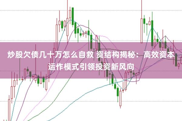 炒股欠债几十万怎么自救 资结构揭秘：高效资本运作模式引领投资新风向