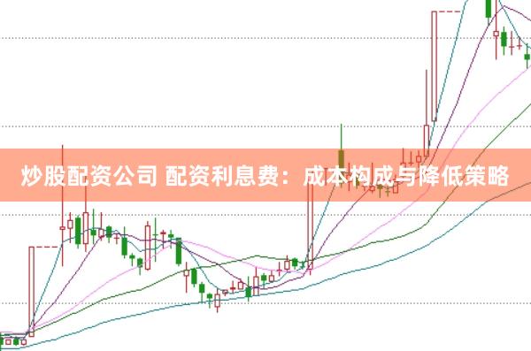 炒股配资公司 配资利息费：成本构成与降低策略