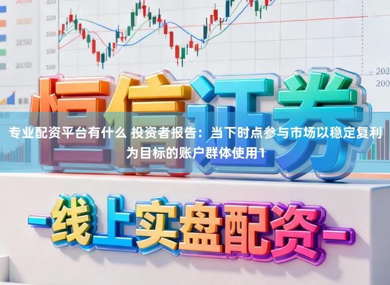 专业配资平台有什么 投资者报告：当下时点参与市场以稳定复利为目标的账户群体使用1