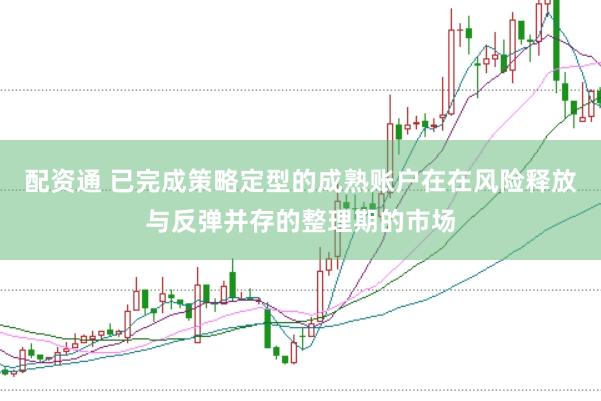 配资通 已完成策略定型的成熟账户在在风险释放与反弹并存的整理期的市场