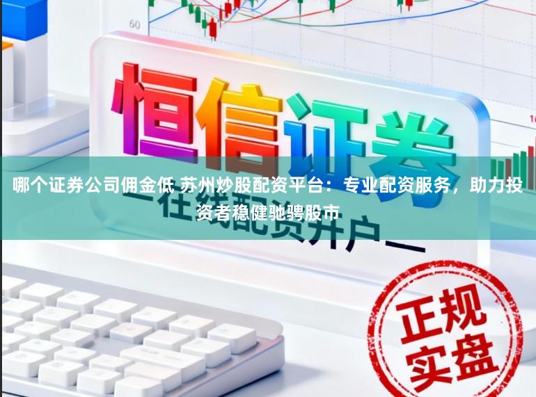哪个证券公司佣金低 苏州炒股配资平台:专业配资服务,助力投资者稳健驰骋股市